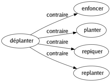 Contraire de Déplanter : Enfoncer Planter Repiquer Replanter 