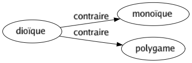 Contraire de Dioïque : Monoïque Polygame 