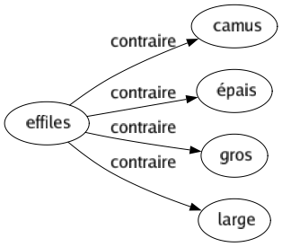 Contraire de Effiles : Camus Épais Gros Large 