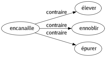 Contraire de Encanaille : Élever Ennoblir Épurer 