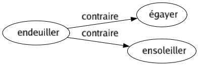 Contraire de Endeuiller : Égayer Ensoleiller 