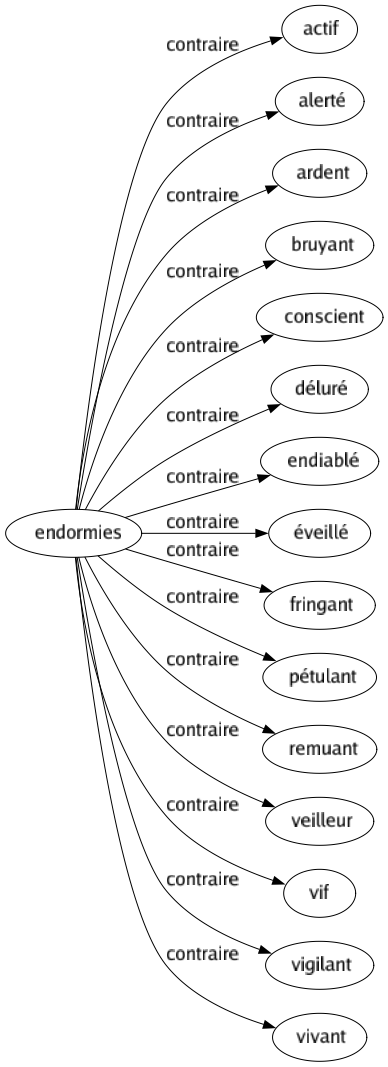 Contraire de Endormies : Actif Alerté Ardent Bruyant Conscient Déluré Endiablé Éveillé Fringant Pétulant Remuant Veilleur Vif Vigilant Vivant 