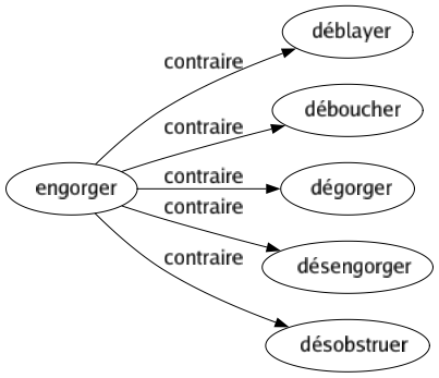 Contraire de Engorger : Déblayer Déboucher Dégorger Désengorger Désobstruer 