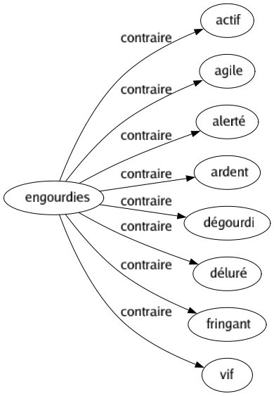 Contraire de Engourdies : Actif Agile Alerté Ardent Dégourdi Déluré Fringant Vif 