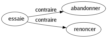 Contraire de Essaie : Abandonner Renoncer 