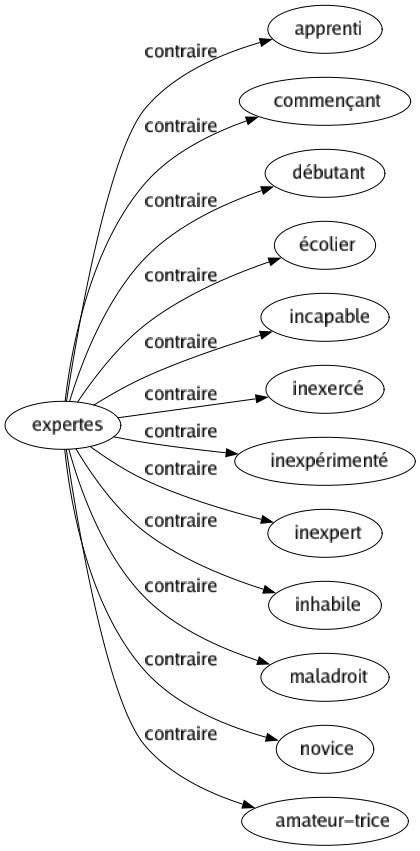 Contraire de Expertes : Apprenti Commençant Débutant Écolier Incapable Inexercé Inexpérimenté Inexpert Inhabile Maladroit Novice Amateur-trice 