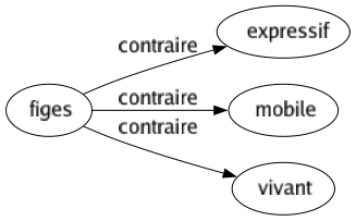 Contraire de Figes : Expressif Mobile Vivant 