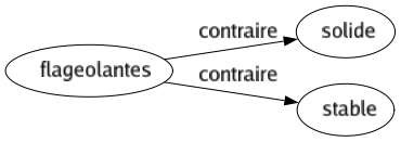 Contraire de Flageolantes : Solide Stable 