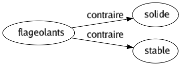 Contraire de Flageolants : Solide Stable 