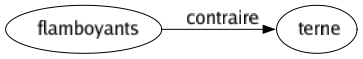 Contraire de Flamboyants : Terne 