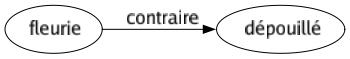 Contraire de Fleurie : Dépouillé 