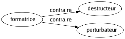 Contraire de Formatrice : Destructeur Perturbateur 