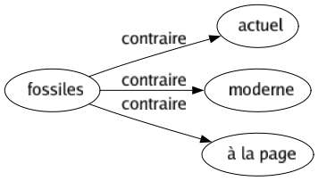 Contraire de Fossiles : Actuel Moderne À la page 