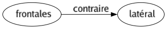 Contraire de Frontales : Latéral 