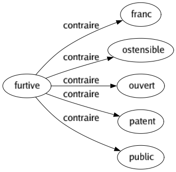 Contraire de Furtive : Franc Ostensible Ouvert Patent Public 