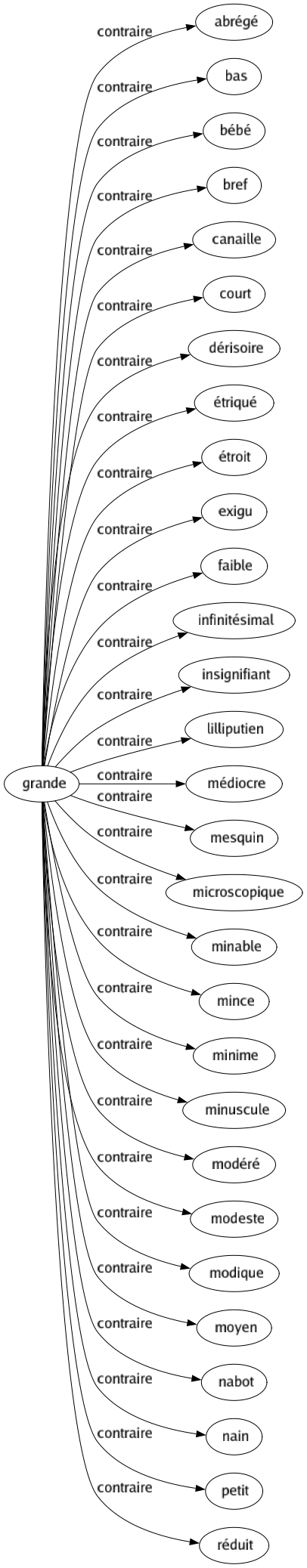 Contraire de Grande : Abrégé Bas Bébé Bref Canaille Court Dérisoire Étriqué Étroit Exigu Faible Infinitésimal Insignifiant Lilliputien Médiocre Mesquin Microscopique Minable Mince Minime Minuscule Modéré Modeste Modique Moyen Nabot Nain Petit Réduit 