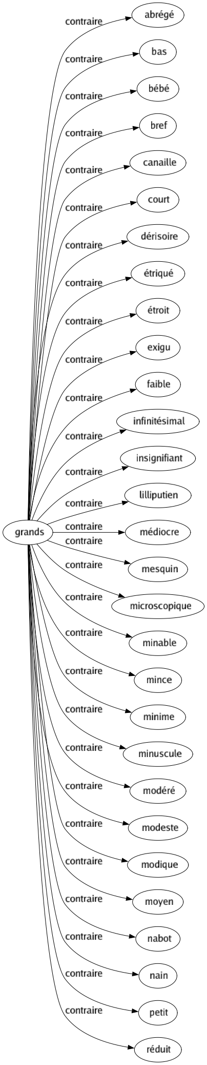 Contraire de Grands : Abrégé Bas Bébé Bref Canaille Court Dérisoire Étriqué Étroit Exigu Faible Infinitésimal Insignifiant Lilliputien Médiocre Mesquin Microscopique Minable Mince Minime Minuscule Modéré Modeste Modique Moyen Nabot Nain Petit Réduit 