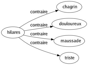 Contraire de Hilares : Chagrin Douloureux Maussade Triste 