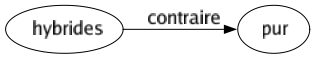 Contraire de Hybrides : Pur 