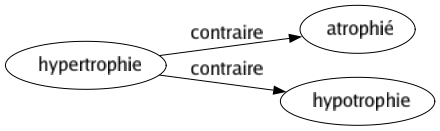 Contraire de Hypertrophie : Atrophié Hypotrophie 