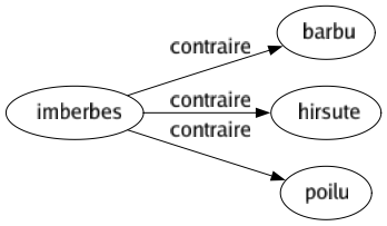 Contraire de Imberbes : Barbu Hirsute Poilu 