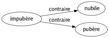 Contraire de Impubère : Nubile Pubère 