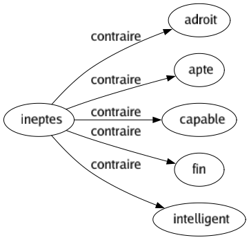 Contraire de Ineptes : Adroit Apte Capable Fin Intelligent 