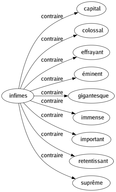 Contraire de Infimes : Capital Colossal Effrayant Éminent Gigantesque Immense Important Retentissant Suprême 