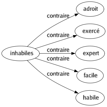 Contraire de Inhabiles : Adroit Exercé Expert Facile Habile 