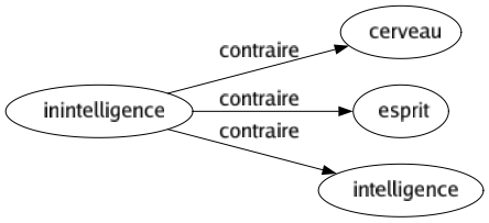 Contraire de Inintelligence : Cerveau Esprit Intelligence 