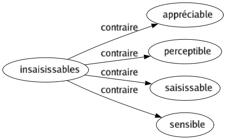 Contraire de Insaisissables : Appréciable Perceptible Saisissable Sensible 