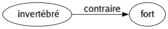 Contraire de Invertébré : Fort 