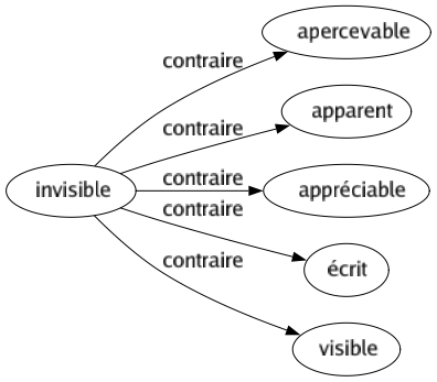 Contraire de Invisible : Apercevable Apparent Appréciable Écrit Visible 