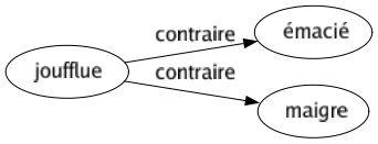 Contraire de Joufflue : Émacié Maigre 