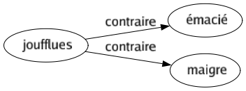 Contraire de Joufflues : Émacié Maigre 