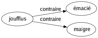 Contraire de Joufflus : Émacié Maigre 