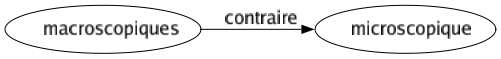 Contraire de Macroscopiques : Microscopique 