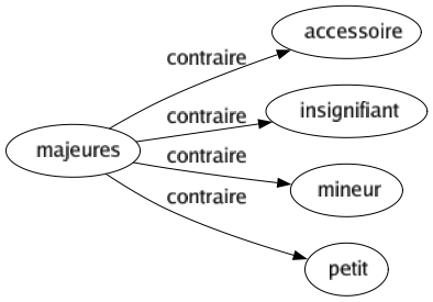 Contraire de Majeures : Accessoire Insignifiant Mineur Petit 