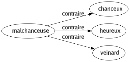 Contraire de Malchanceuse : Chanceux Heureux Veinard 