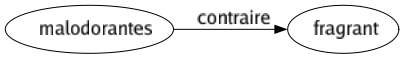 Contraire de Malodorantes : Fragrant 