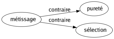 Contraire de Métissage : Pureté Sélection 