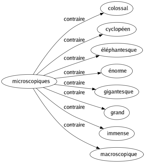 Contraire de Microscopiques : Colossal Cyclopéen Éléphantesque Énorme Gigantesque Grand Immense Macroscopique 