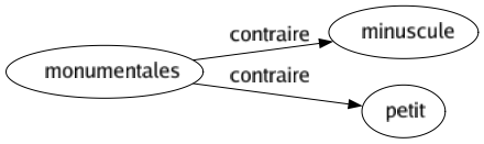 Contraire de Monumentales : Minuscule Petit 