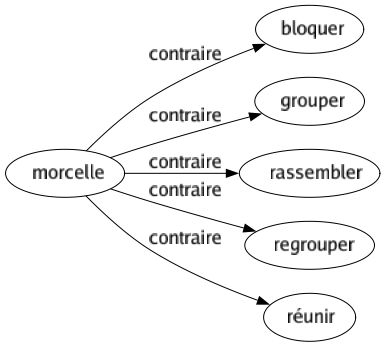 Contraire de Morcelle : Bloquer Grouper Rassembler Regrouper Réunir 