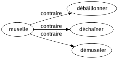 Contraire de Muselle : Débâillonner Déchaîner Démuseler 