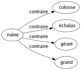 Contraire de Naine : Colosse Échalas Géant Grand 