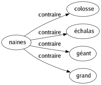 Contraire de Naines : Colosse Échalas Géant Grand 