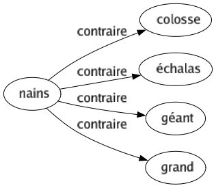 Contraire de Nains : Colosse Échalas Géant Grand 