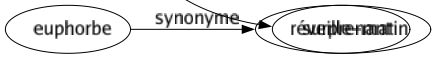 Contraire de Normaux : Aberrant Abracadabrant Accidentel Ahurissant Anormal Baroque Bizarre Borgne Coupable Critiqué Déjeté Délictueux Dépravé Déraisonnable Détraqué Difforme Drôle Ébouriffant Effarant Énorme Époustouflant Esbroufant Étonnant Étrange Excentrique Exceptionnel Excessif Extraordinaire Extravagant Fantasmagorique Fantastique Faramineux Faux Féerique Fou Grotesque Inattendu Indu Insolite Invraisemblable Irrationnel Irrégulier Magique Malvenu Maniaque Merveilleux Miraculeux Mirifique Mirobolant Monstre Monstrueux Original Outré Paradoxal Paranormal Particulier Pathologique Pervers Phénoménal Prodigieux Renversant Rocambolesque Sensationnel Singulier Spécial Surprenant 