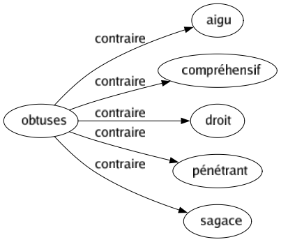 Contraire de Obtuses : Aigu Compréhensif Droit Pénétrant Sagace 